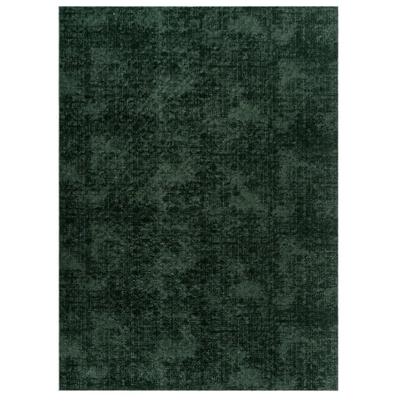 Shadow Thandi Transitional Geometric Dark Green Area Rug, 6x9
