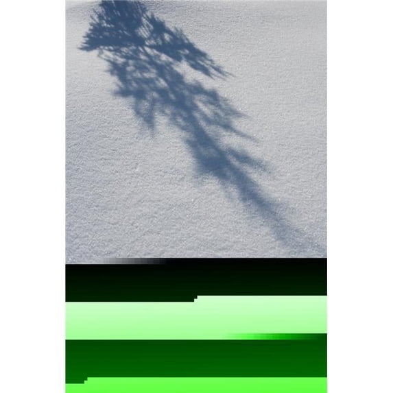 Shadow of A Fir Tree Falls Across A Pristine Drift of Snow Sparkling in The Sun - Filzmoos Austria Print - 24 x 38 in. - Large