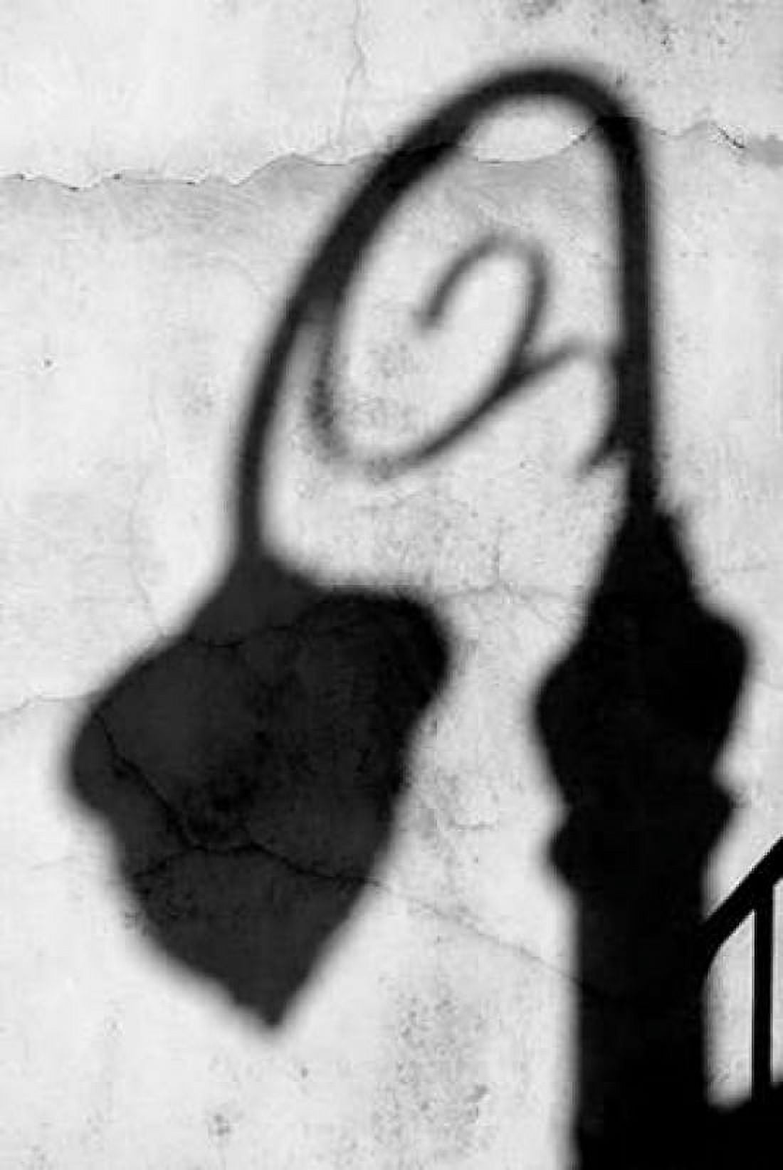 Shadow of Light BW Canvas Art - Douglas Taylor (24 x 36)