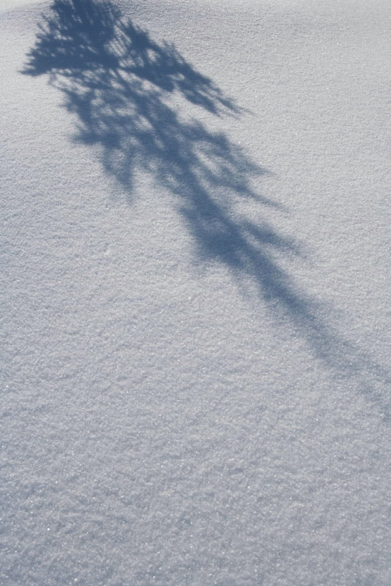 Shadow of a fir tree falls across a pristine drift of snow sparkling in the sun Filzmoos Austria Canvas Art - Anna Watson  Design Pics (12 x 19)