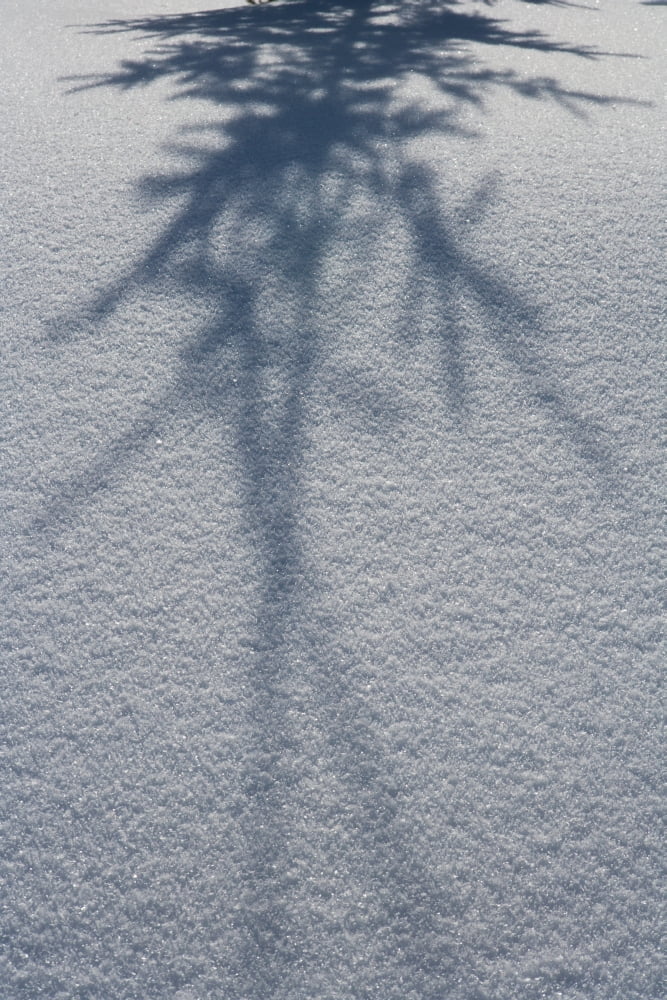 Shadow of a fir tree falls across a pristine drift of snow sparkling in the sun Filzmoos Austria Canvas Art - Anna Watson Design Pics (12 x 19)