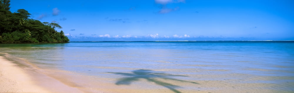 Shadow of a tree on the beach Tahiti French Polynesia Canvas Art - Panoramic Images (36 x 12)