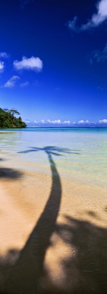 Shadow of a tree on the beach Tahiti French Polynesia Canvas Art - Panoramic Images (36 x 12)