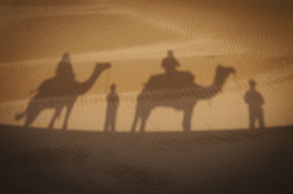 Shadow of camels with riders on the sandIndia Canvas Art - Alex Adams Design Pics (19 x 12)