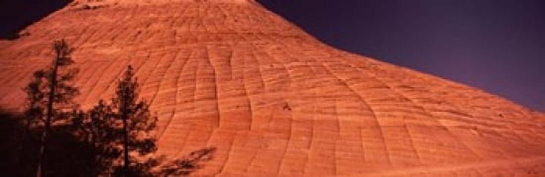 Shadow of trees on a rock formation Checkerboard Mesa Zion National Park Utah USA Canvas Art - Panoramic Images (18 x 6)