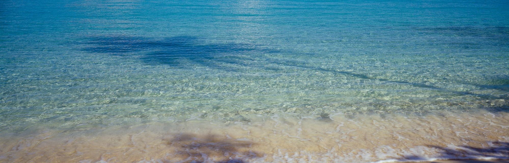 Shadow of trees on water Hawksnest Bay Virgin Islands National Park St John US Virgin Islands Canvas Art - Panoramic Images (27 x 9)
