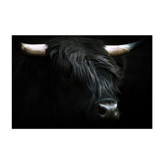 Shadowed Majesty - Scotland United Kingdom Photography Highland Cow Animal Wildlife Rustic Farmhouse Nature Rural Unframed Wall Art Print 40 x 60 inches
