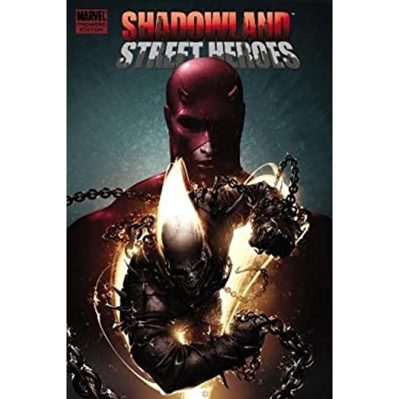 Pre-Owned Shadowland : Thunderbolts (Hardcover) 9780785152187