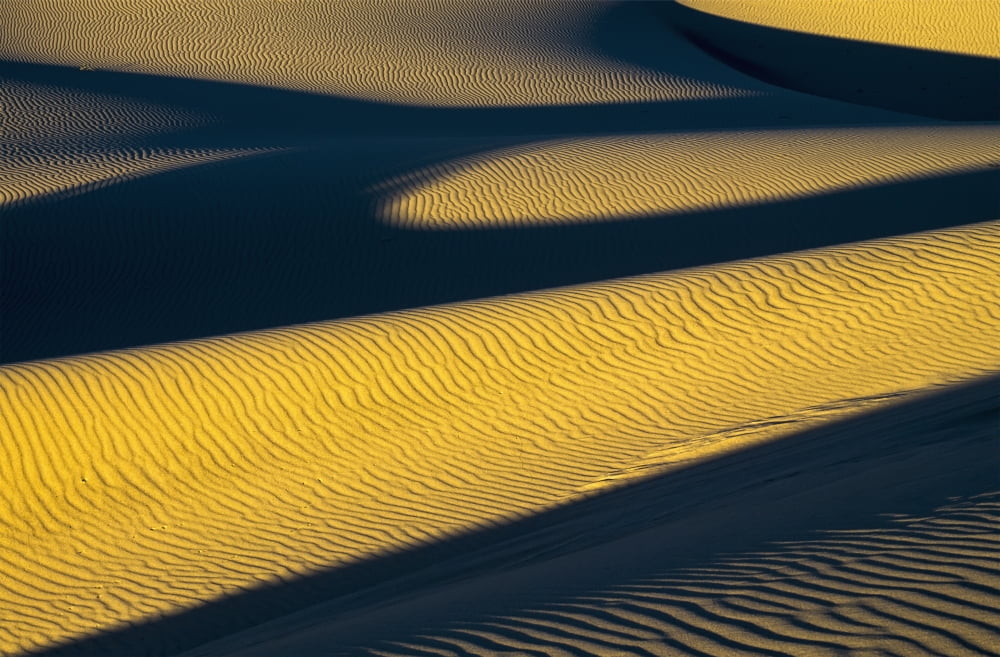 Shadows deepen on a summer evening at Oregon Dunes National Recreation Area Lakeside Oregon United States of America Canvas Art - Robert L Potts Design Pics (38 x 24)