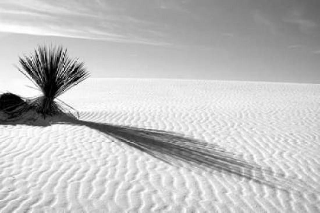 Shadows in the Sand I Canvas Art - Douglas Taylor (24 x 36)
