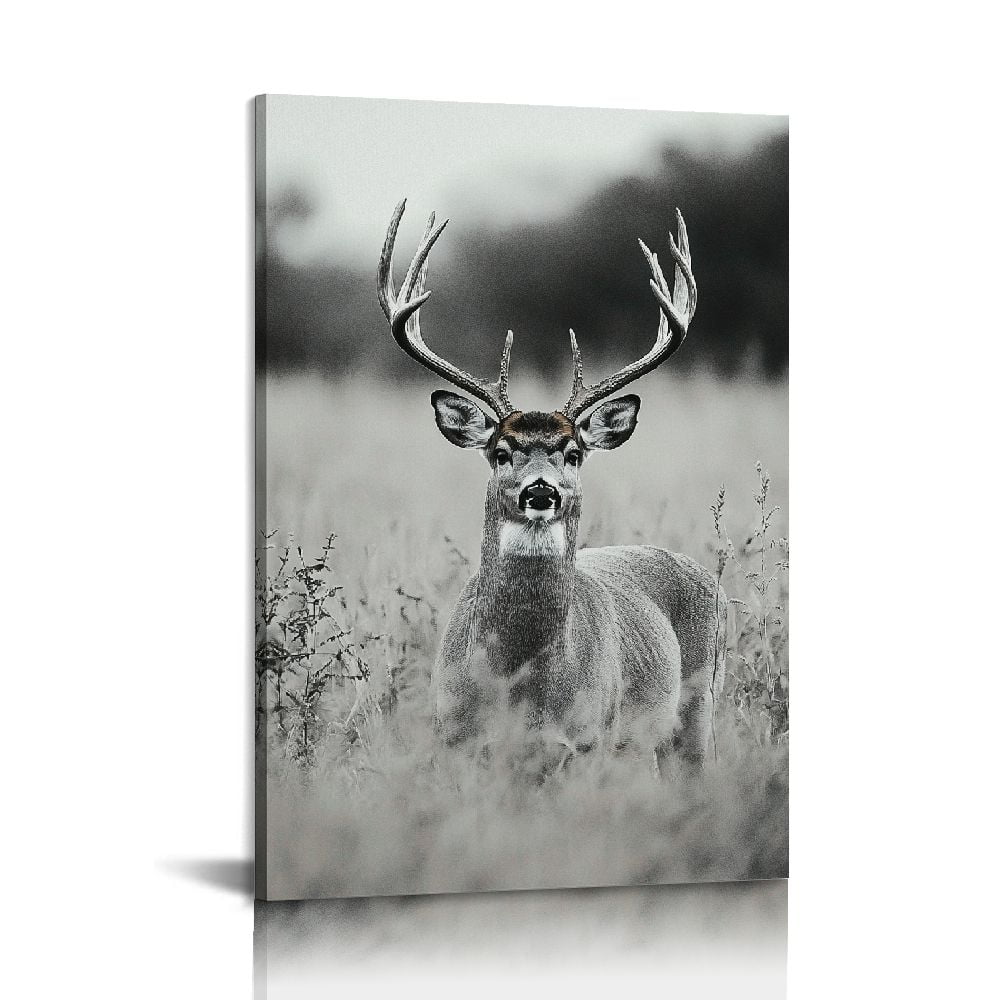 Black and White Deer Portrait Canvas Wall Art, 24x36 Inches