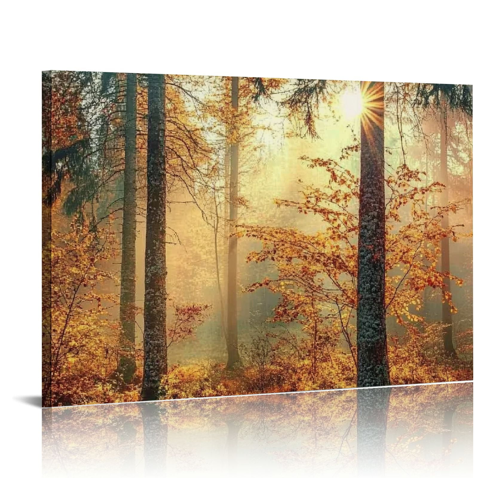Mystery Forest Autumn Trees Canvas Wall Art Print 36x24
