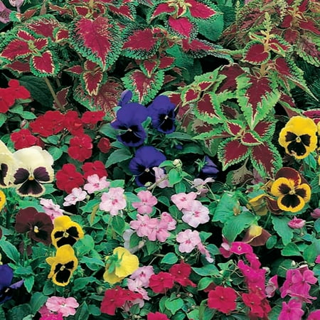 Shady Garden Roll Out Seed Mat
