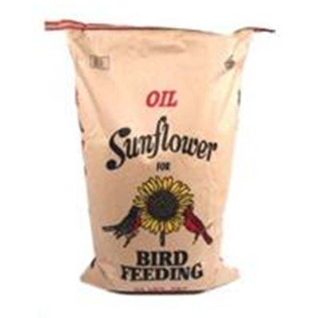 SHAFER SEED COMPANY SUNFLOWER SEED 100PERCENT OIL 10# 10 POUND PACK OF 3