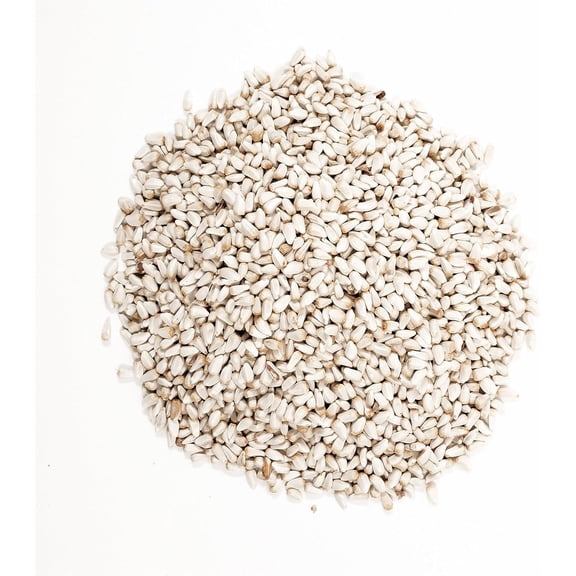 Shafer Seed 84079 Safflower Seed Wild Bird Food, 50 lb