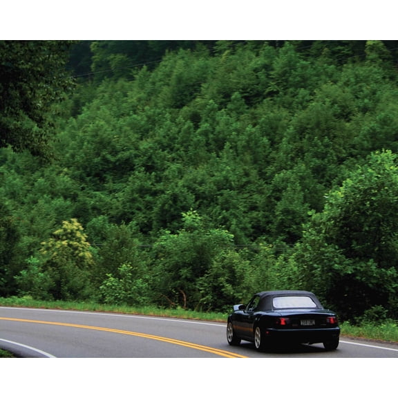 Shaffer Road Trip Glossy Poster