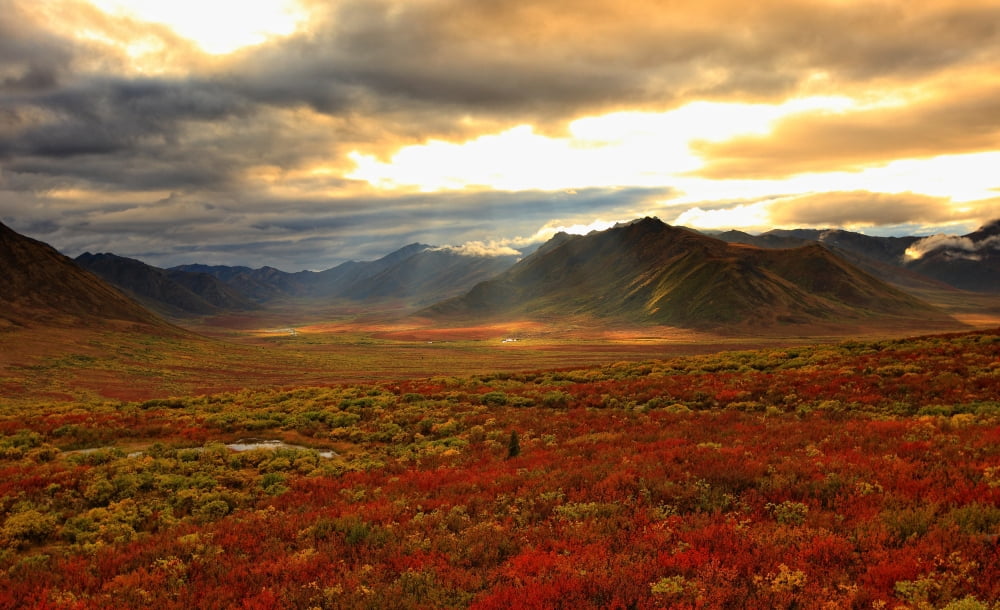 Shaft Of Sunlight Hitting The Fall Colours Of The Dempster Highway Yukon Canvas Art - Robert Postma Design Pics (17 x 10)