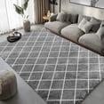 thumbnail image 1 of Pentantan 5ft x 8ft Shag Area Rugs for Living Room, Modern Grid Fluffy Bedroom Carpet, Gray & White, 1 of 8
