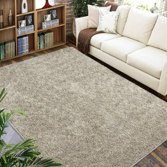 Shag Area Rug, Modern Shaggy Thick Soft Dye Fluffy Plush Non Slip Floor Carpet