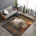 thumbnail image 1 of Shaggy Area Rug, Haystack Meditating Cat Rugs for Living Room Bedroom Non Slip Door Mat Indoor Carpet Machine Washable Nursery Home Decor Floor Mats for Entryway 60x39in, 1 of 5