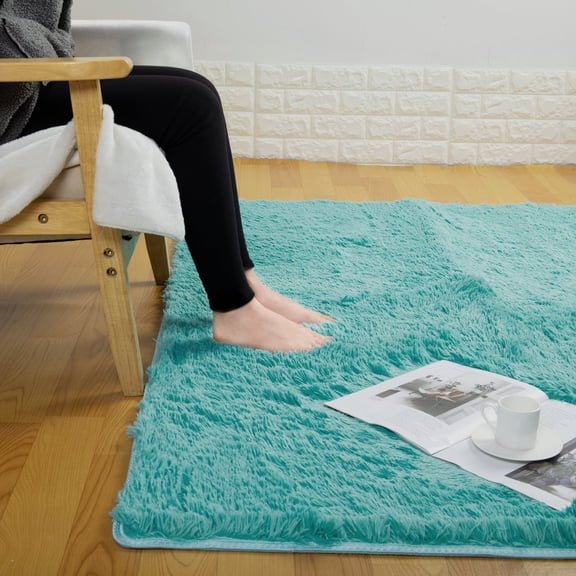 Shaggy Area Rugs Super Soft Indoor Home Decor Carpets Anti-Skid Durable Rectangular Plush Rugs (63"x47.2")