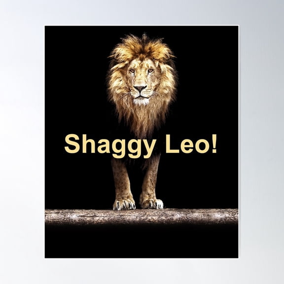Shaggy Leo! Poster Wall Art, Modern Wall Decor For Living Room Bedroom, 8x12 UNFRAMED