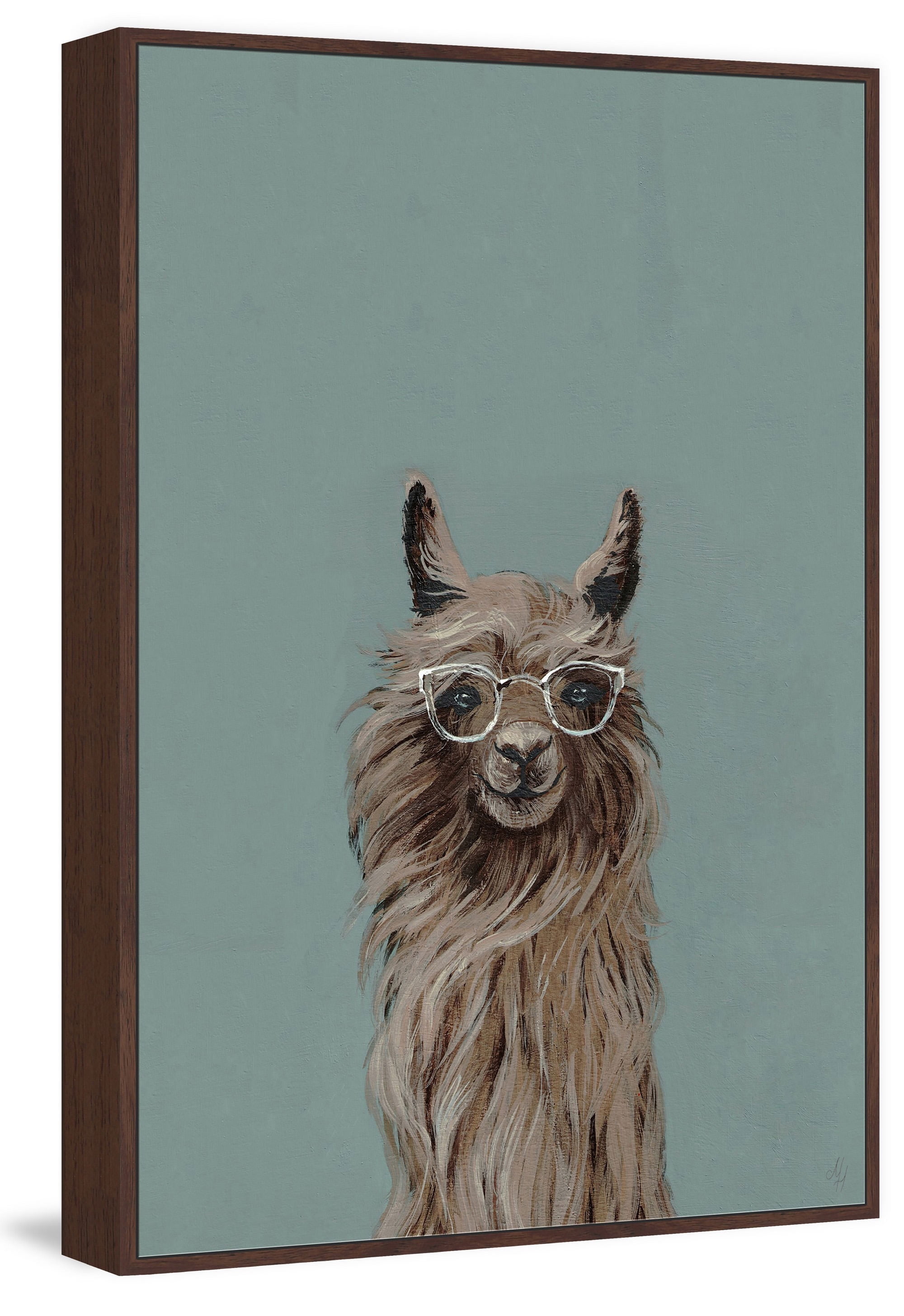 Shaggy Llama II Floater Framed Painting Print on Canvas
