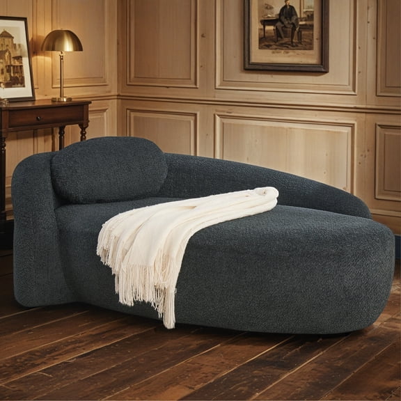 Shaiailed 67" Black Oval Chaise Lounge Chair,Comfy Chaise Lounge Sofa with Curved Back and A Soft Pillows,Modern Leisure Recliner for Living Room