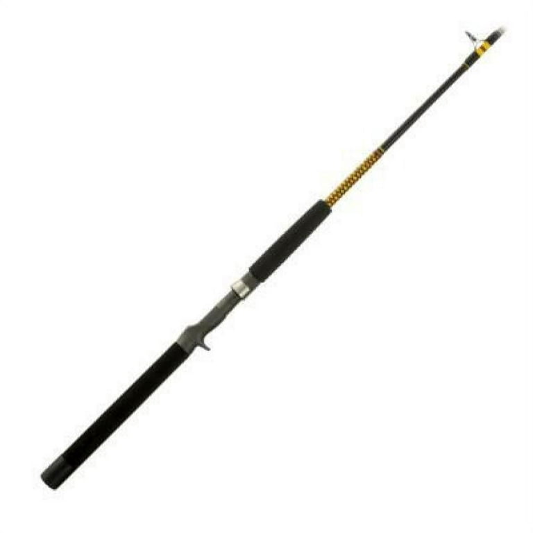 Shakespeare BWC1100120 Ugly Stik Bigwater Fishing Rod, 12-Feet, Heavy 