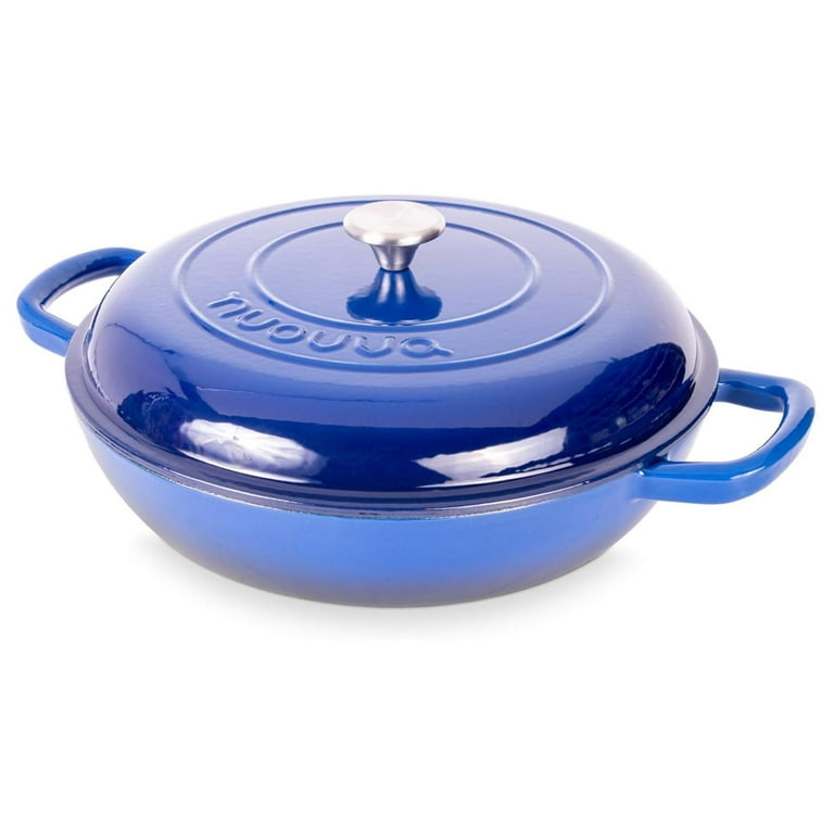 Ovenproof pot hotsell