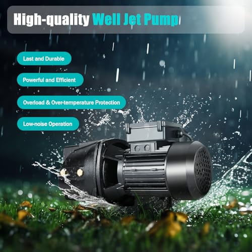 Shallow/Deep Well Jet Pump, 3/4 HP Cast Iron Shallow Well Jet Pump with Pressure Switch, 3420 RPM Self-Priming Versatile Jet Pump for Deep or Shallow Wells Agricultural Irrigation