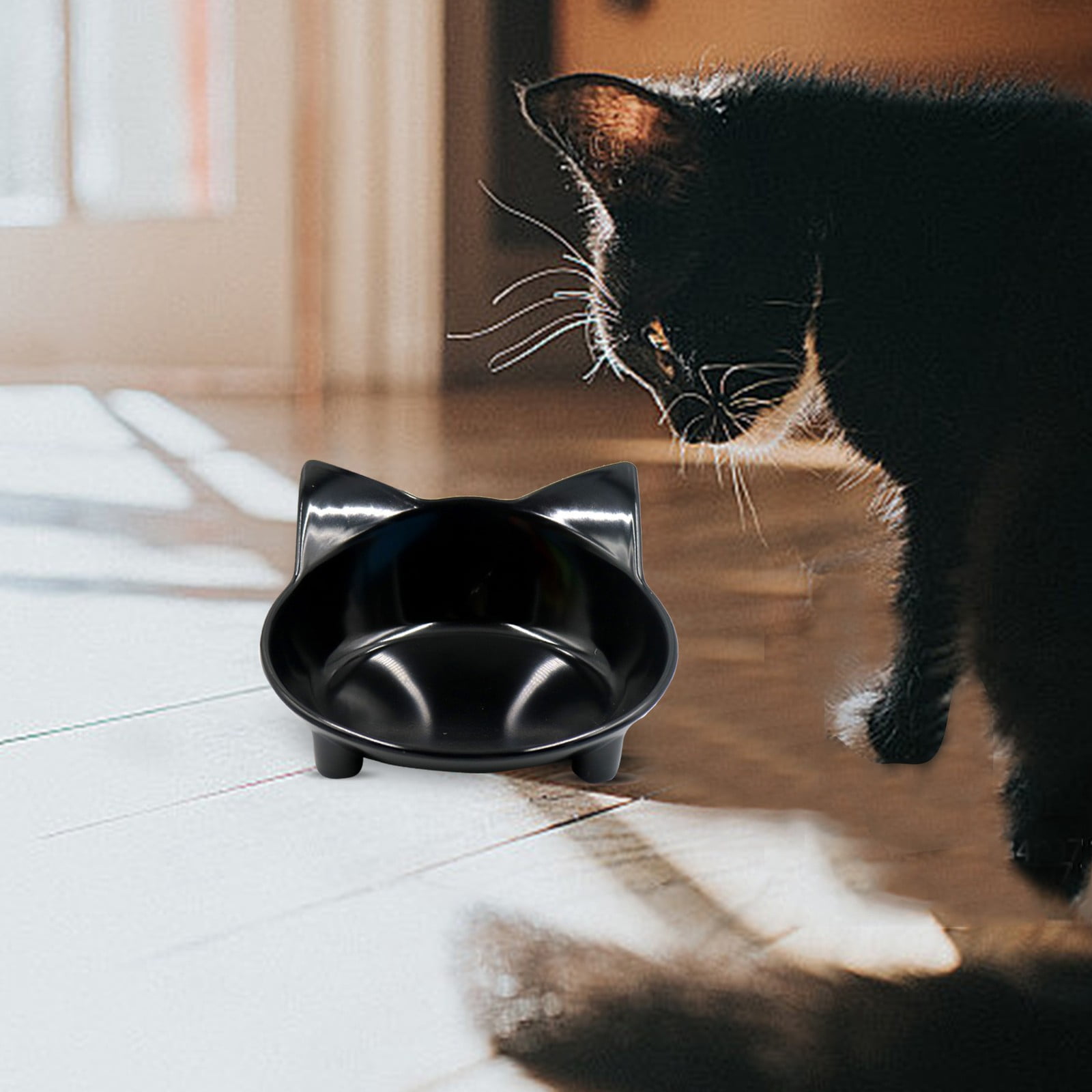 Shallow Elevated Dog Feeders for Extra Large Dogs Stainless Steel Small