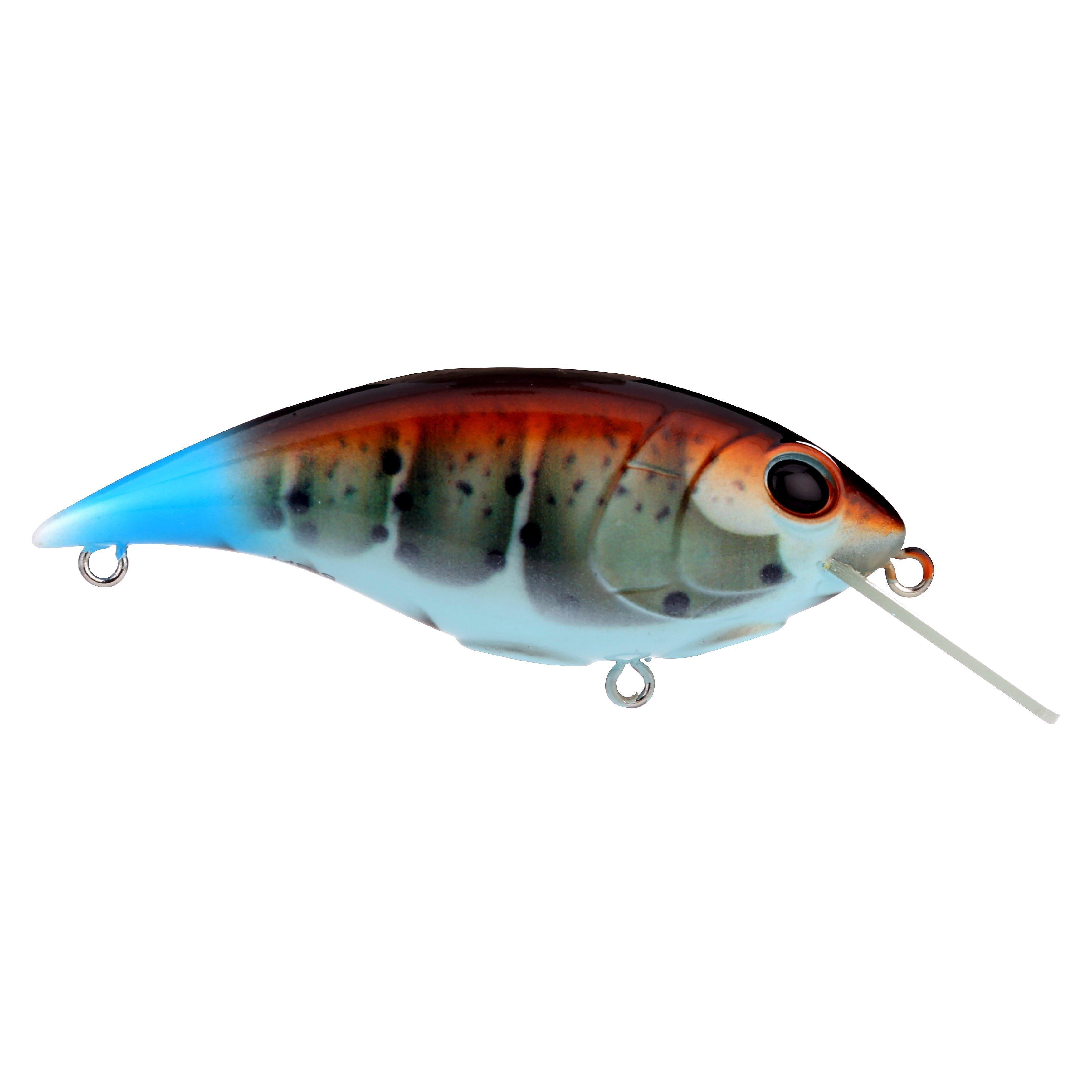 Shallow Money Badger Fishing Crankbait, 2.75 in, Killer Craw