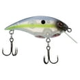 thumbnail image 1 of Berkley Shallow Money Badger Fishing Crankbait, 2.1 in, Hybrid Baitfish-Crayfish, 1 of 6