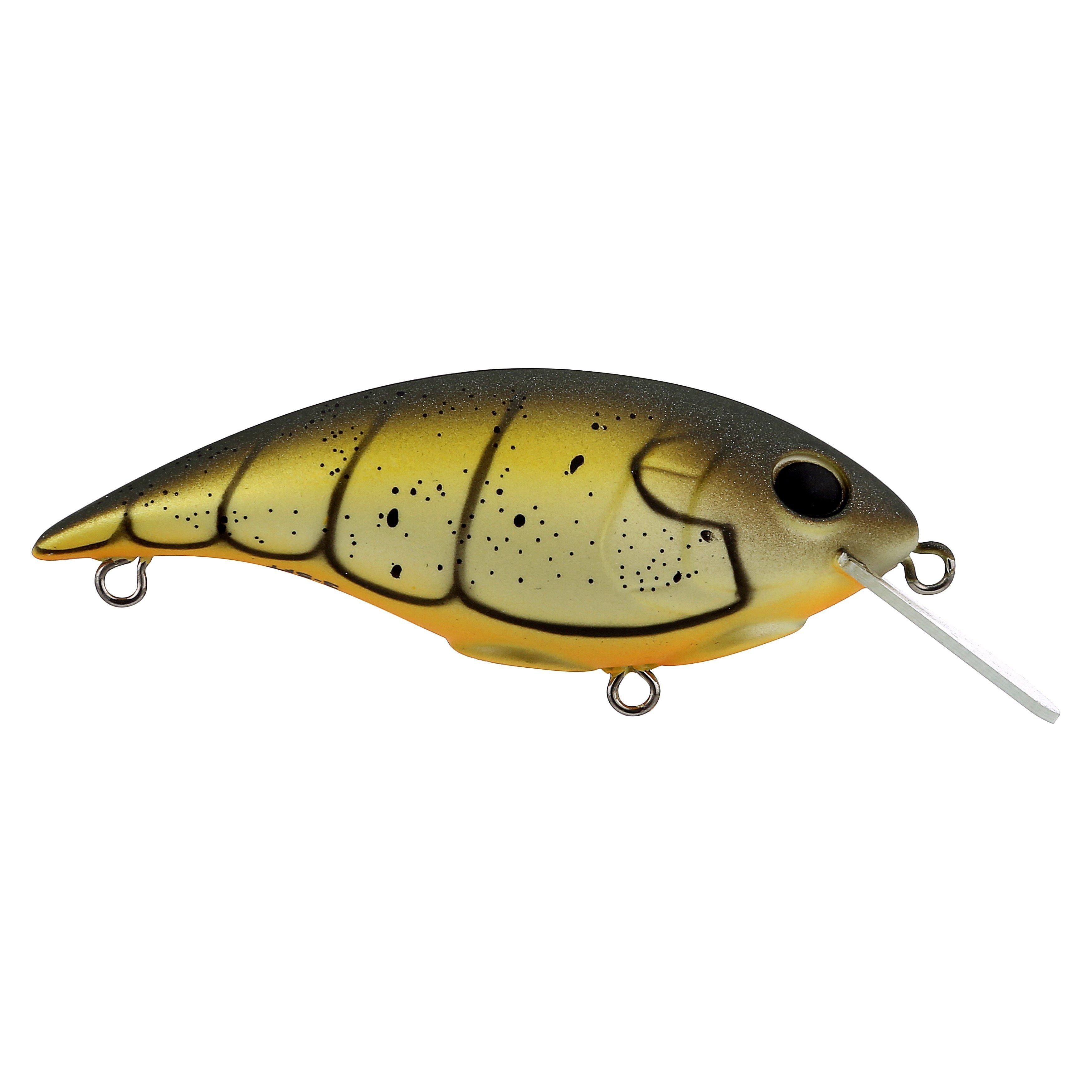 Berkley Shallow Money Badger Fishing Crankbait, 2.5 in, Hybrid Baitfish-Crayfish