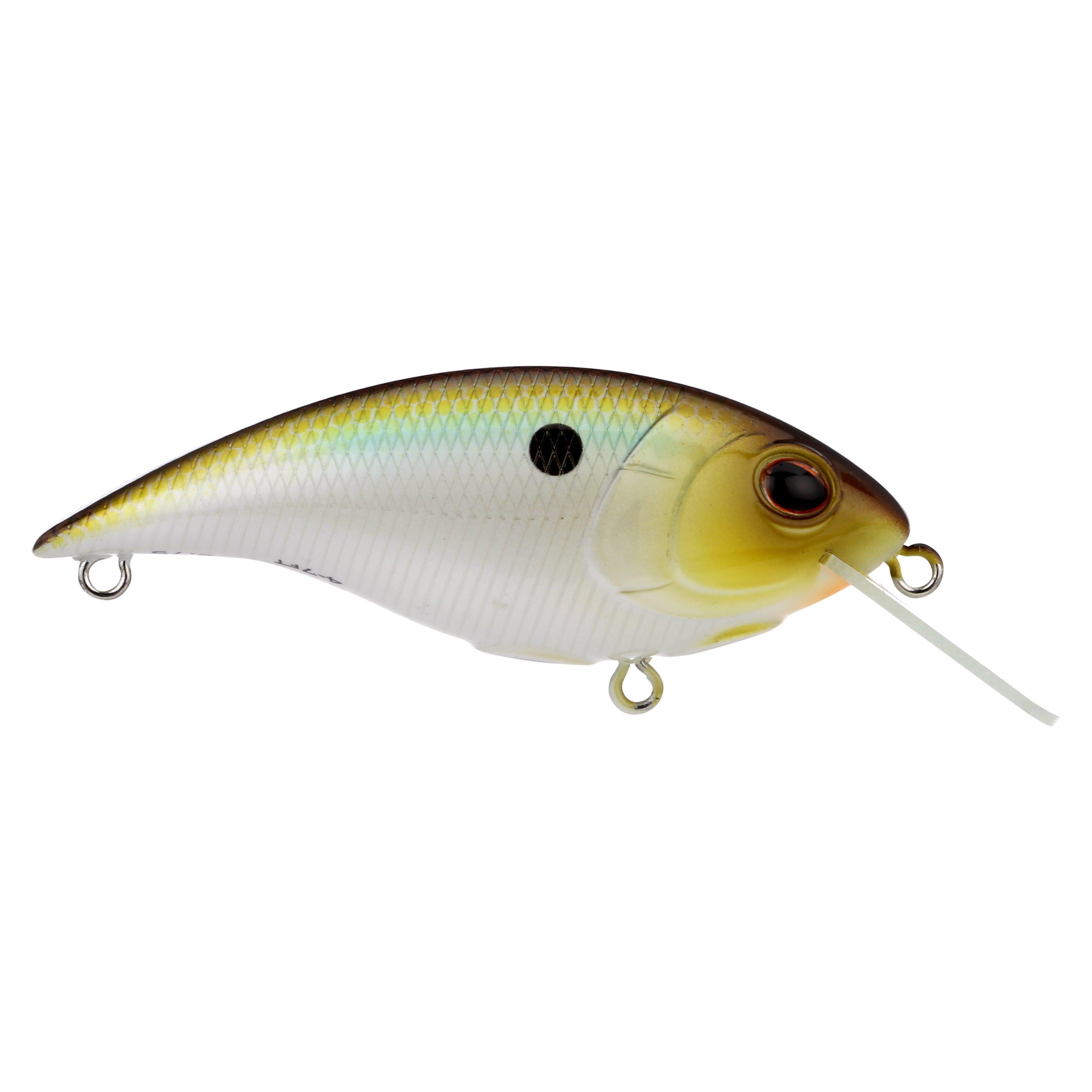 Berkley Shallow Money Badger Fishing Crankbait, 2.75 in, Hybrid Baitfish-Crayfish