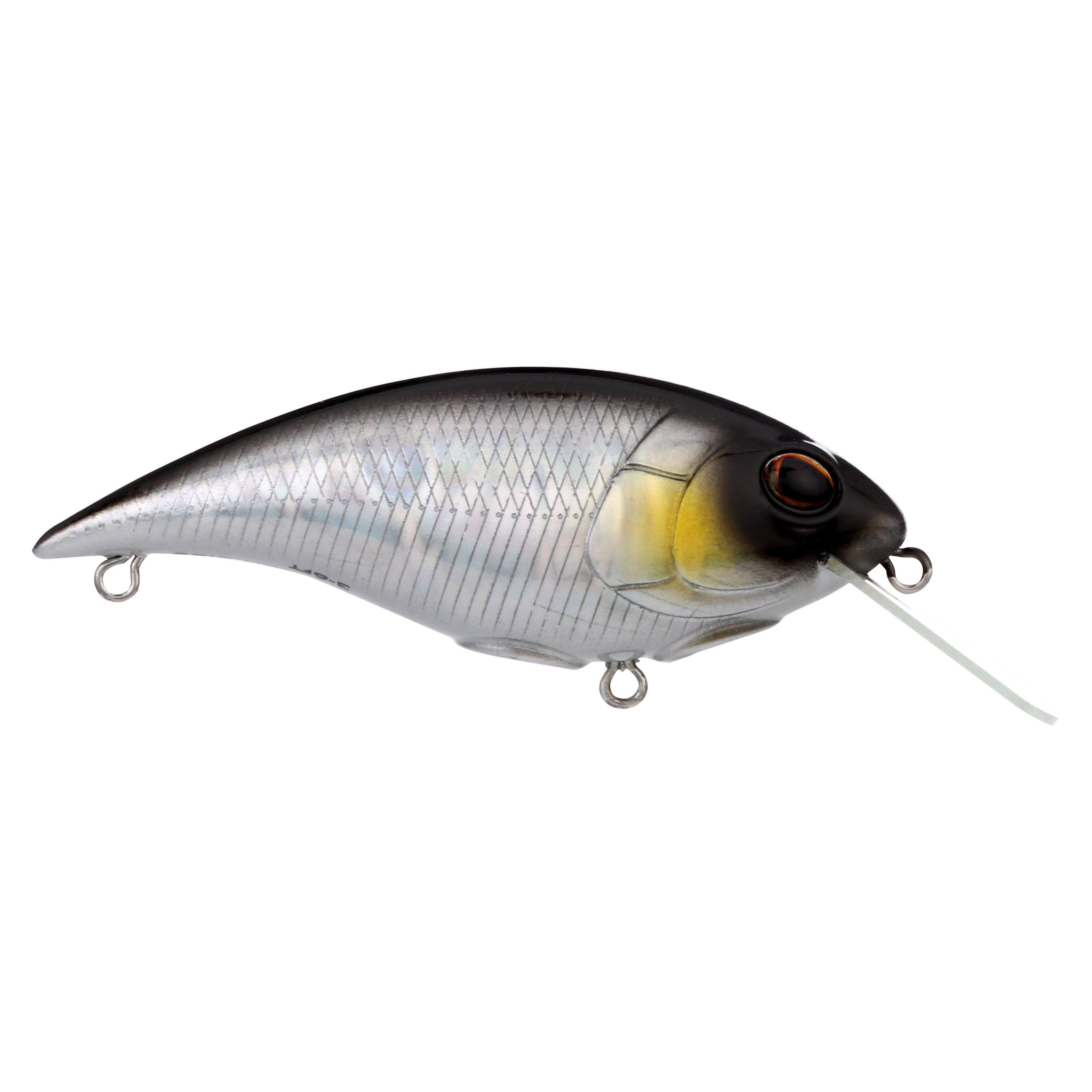 Berkley Shallow Money Badger Fishing Crankbait, 2.5 in, Hybrid Baitfish-Crayfish