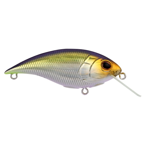 Berkley Shallow Money Badger Fishing Crankbait, 2.75 in, Hybrid Baitfish-Crayfish