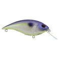 thumbnail image 1 of Berkley Shallow Money Badger Fishing Crankbait, 2.6 in, Hybrid Baitfish-Crayfish, 1 of 6