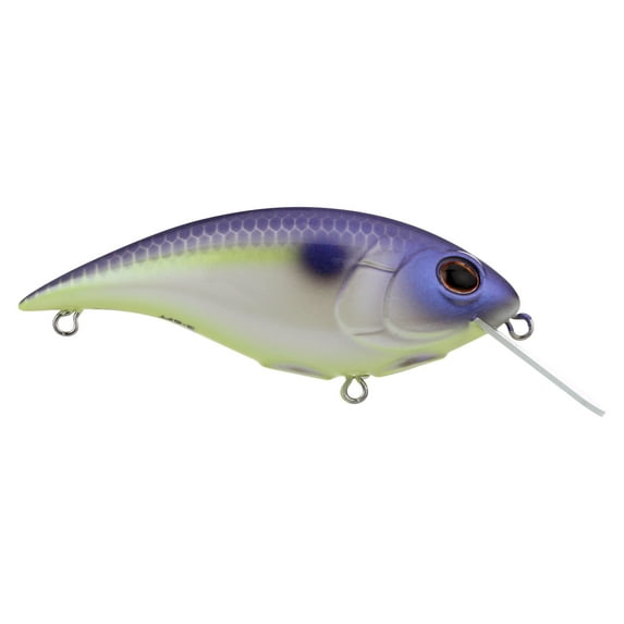 Berkley Shallow Money Badger Fishing Crankbait, 2.6 in, Hybrid Baitfish-Crayfish