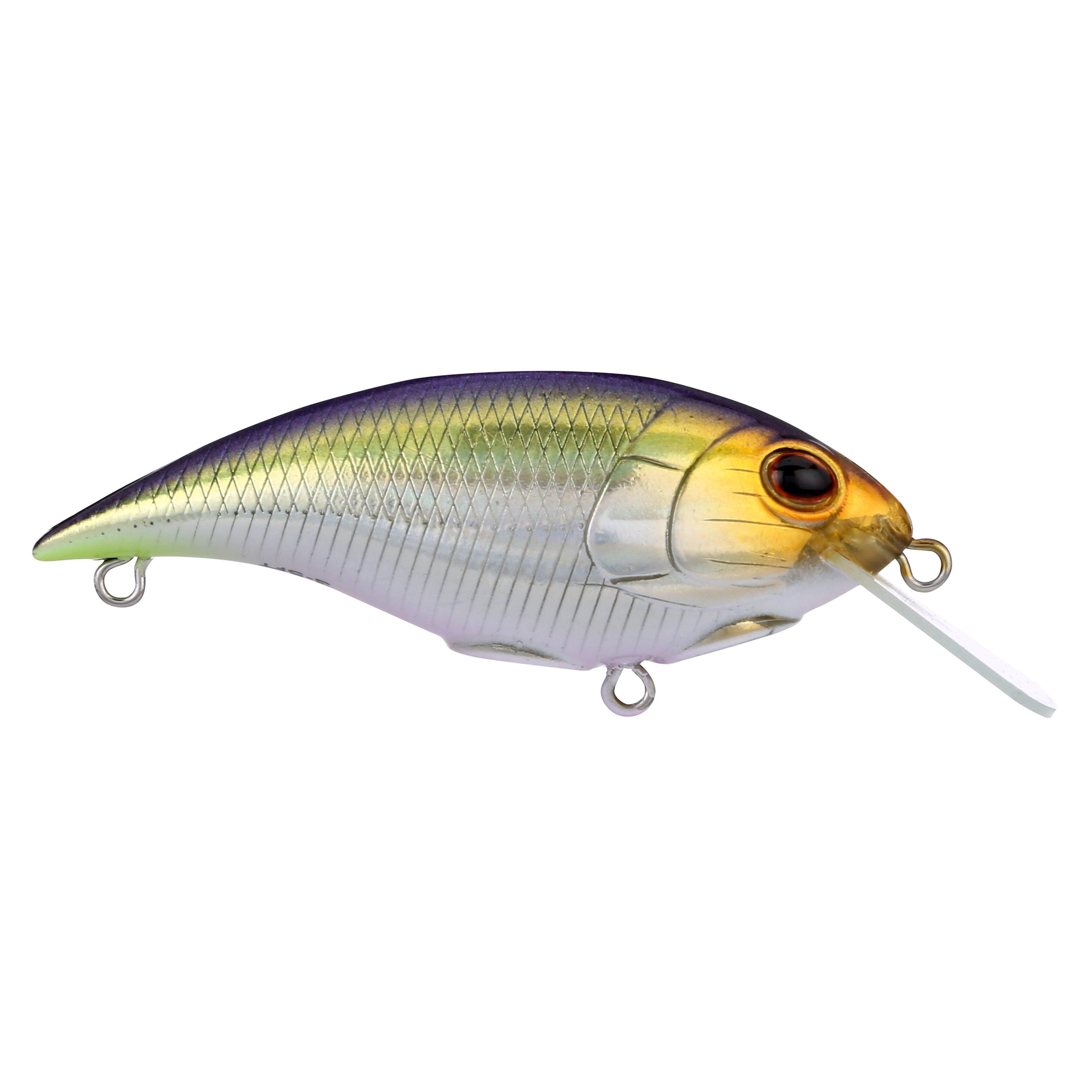 Berkley Shallow Money Badger Fishing Crankbait, 2.5 in, Hybrid Baitfish-Crayfish