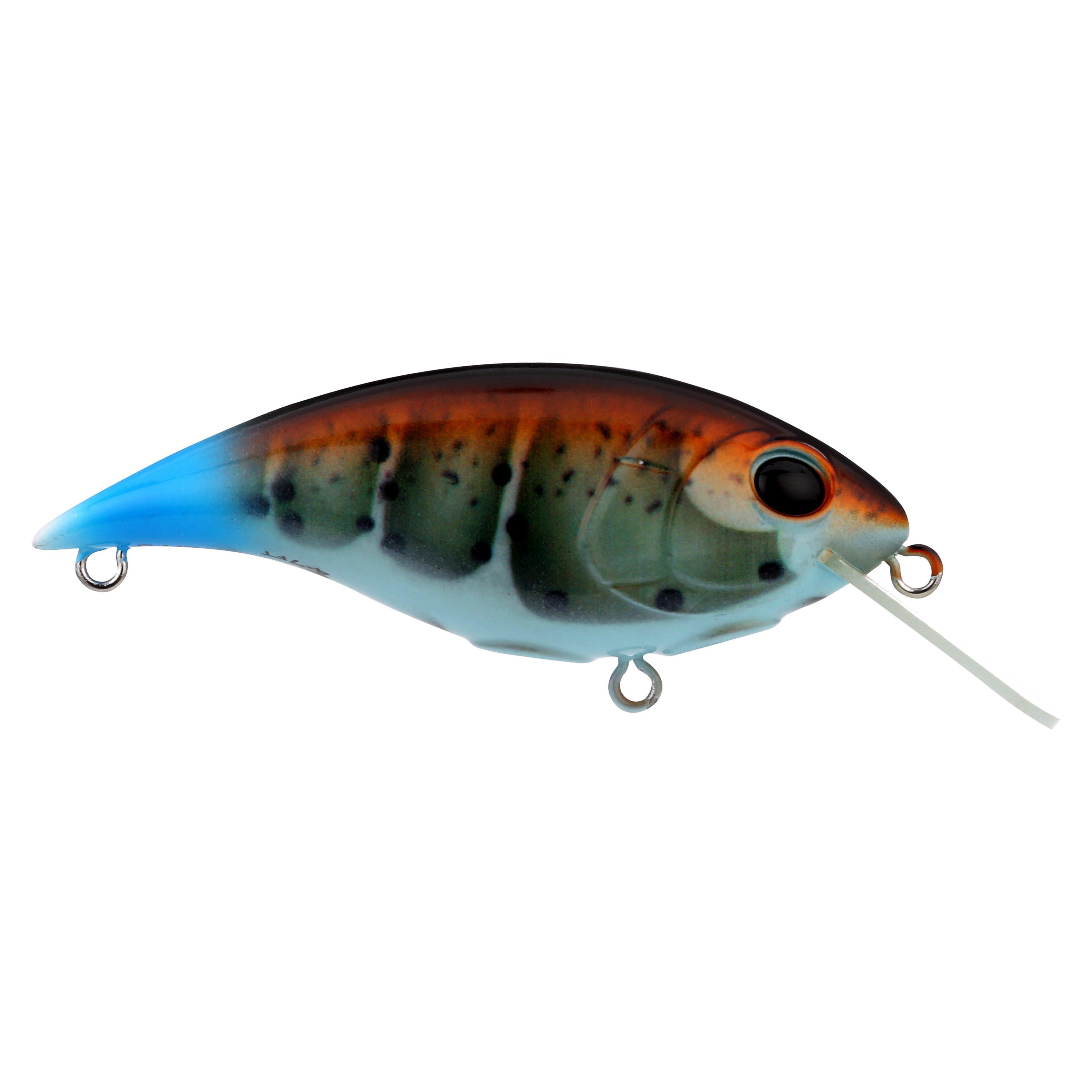 Berkley Shallow Money Badger Fishing Crankbait, 2.75 in, Hybrid Baitfish-Crayfish