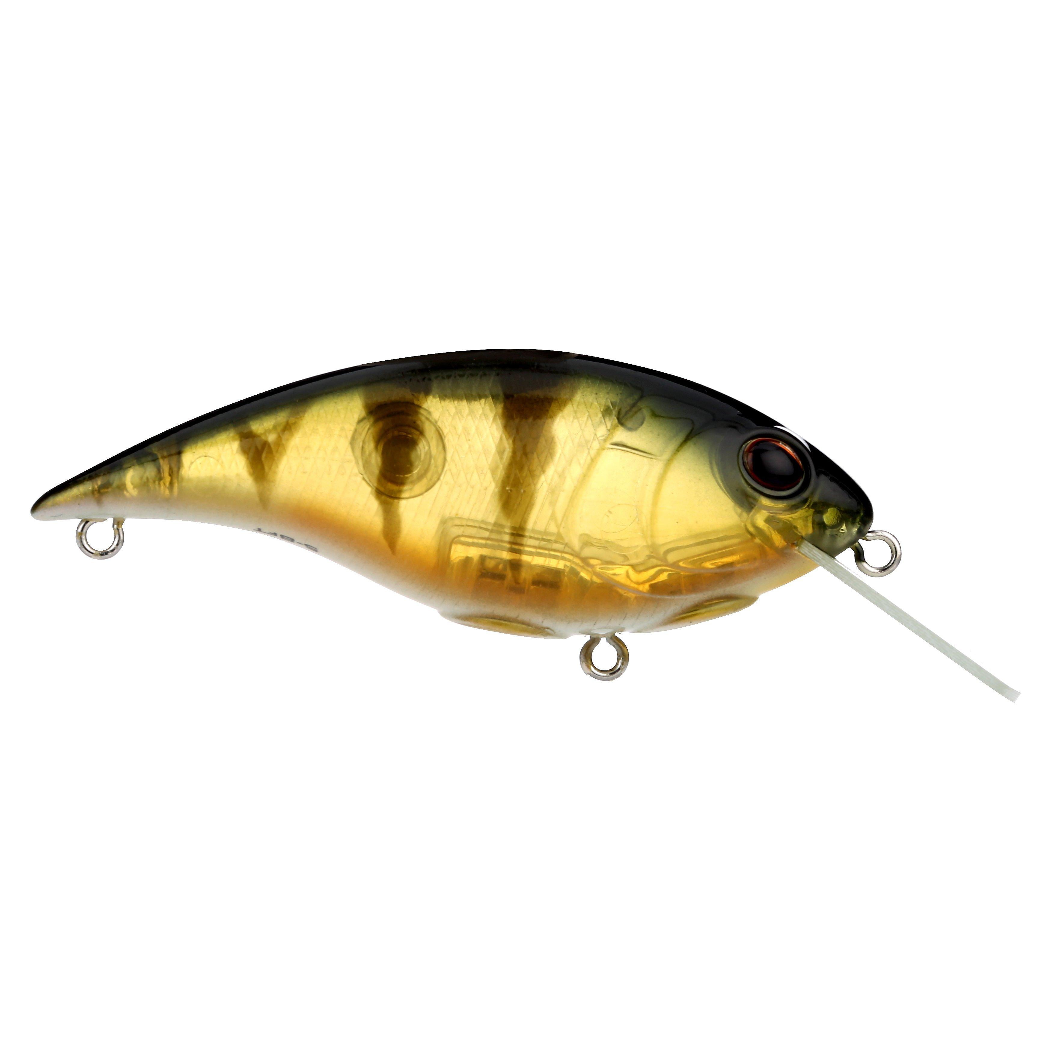 Shallow Money Badger Fishing Crankbait, 2.75 in, Perch