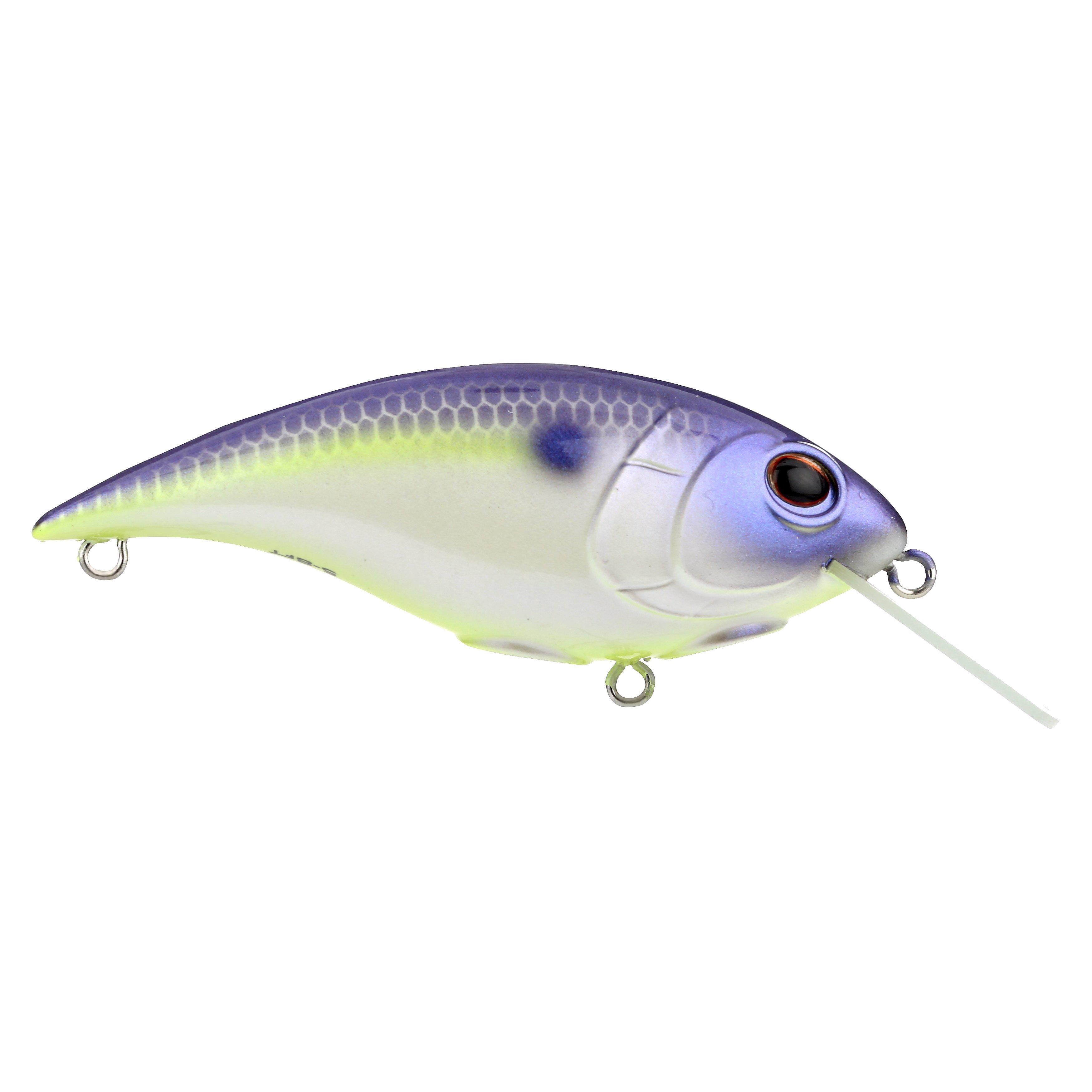 Shallow Money Badger Fishing Crankbait, 2.75 in, Purple Glimmer