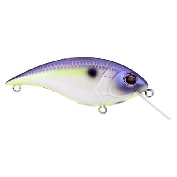 Berkley Shallow Money Badger Fishing Crankbait, 2.75 in, Hybrid Baitfish-Crayfish