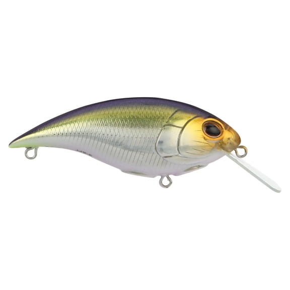 Berkley Shallow Money Badger Fishing Crankbait, 2.6 in, Hybrid Baitfish-Crayfish