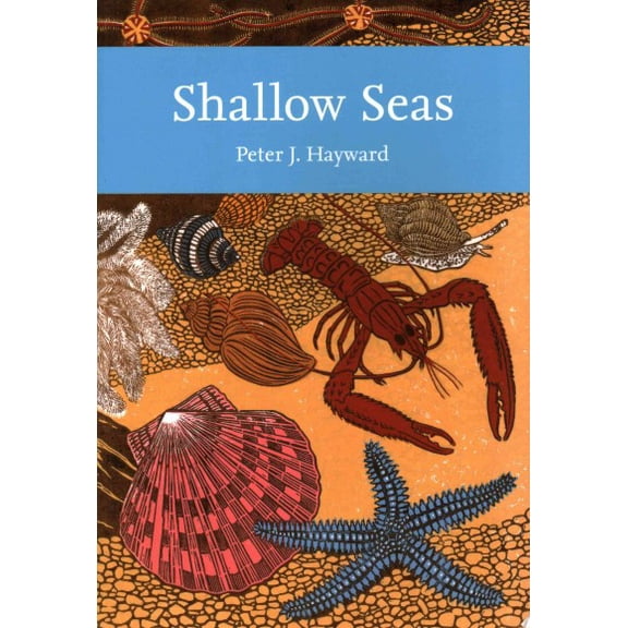 Shallow Seas