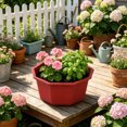 thumbnail image 1 of Shallow Succulent Plant Pots, Shallow Planter with Tray and Drainage Holes, Decorative Plastic Planters for Indoor and Outdoor Gardening, Succulent pots for Succulents Cactus and Herbs, 1 of 6