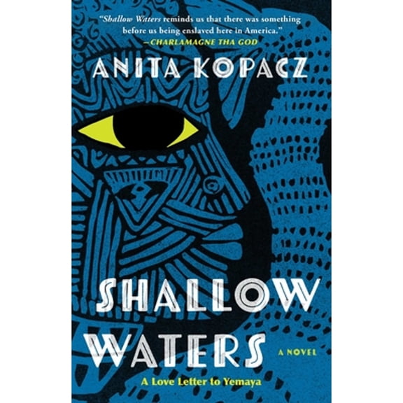 Pre-Owned Shallow Waters (Paperback) 1982177616 9781982177614