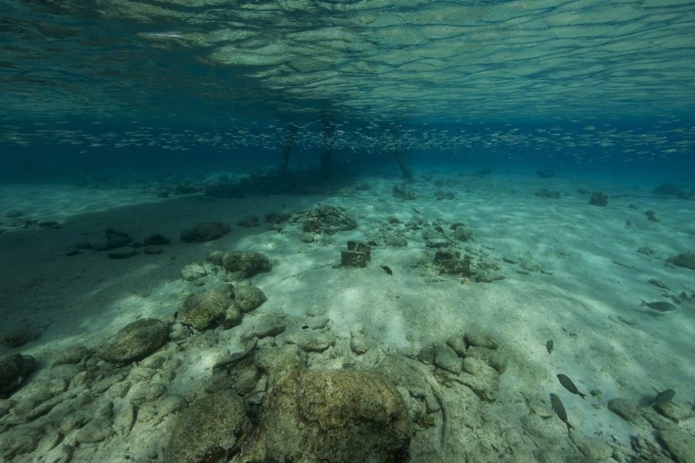Shallow waters under Salt Pier Bonaire Caribbean Netherlands Canvas Art - Terry MooreStocktrek Images (35 x 23)